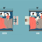 Difference Between King Size Beds